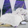 Lavender Одеяло 235х215