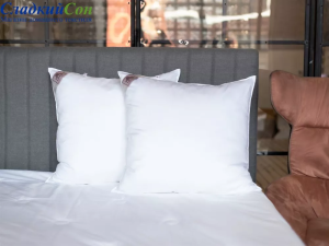 75221 Подушка LUXURY SILK GRASS мягкая 68х68